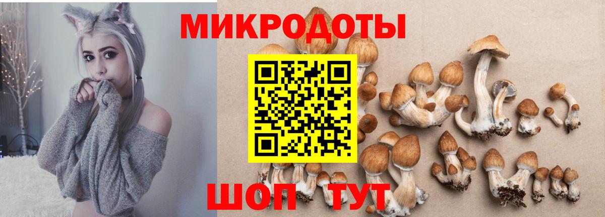 магазин  наркотиков  Галлюциногенные грибы Cubensis  Вход с VPN  Новочебоксарск 